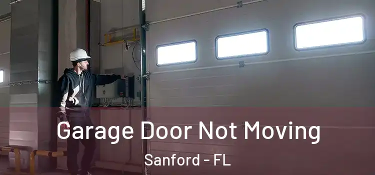  Garage Door Not Moving Sanford - FL