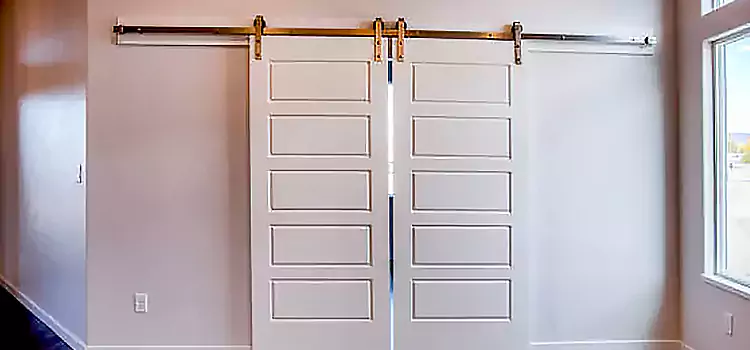 Glass Barn Door with Installation Hardware Kit Sanford